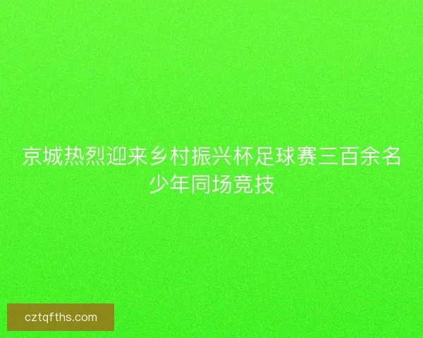 京城热烈迎来乡村振兴杯足球赛三百余名少年同场竞技 京城热烈迎来乡村振兴杯足球赛三百余名少年同场竞技